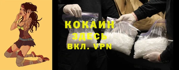 сатива Богородицк