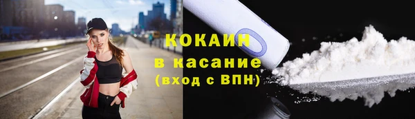 эйфоретик Богданович