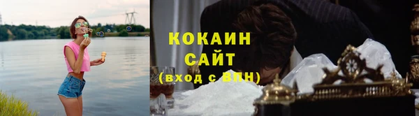 эйфоретик Богданович
