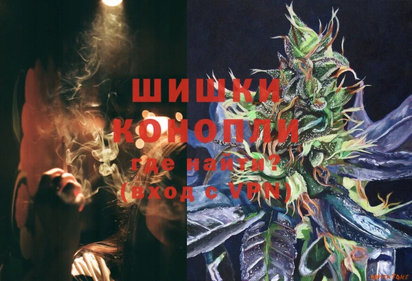 эйфоретик Богданович
