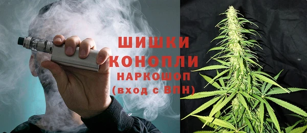 эйфоретик Богданович