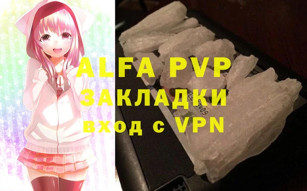 эйфоретик Богданович