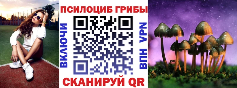Псилоцибиновые грибы Cubensis  Боровичи 